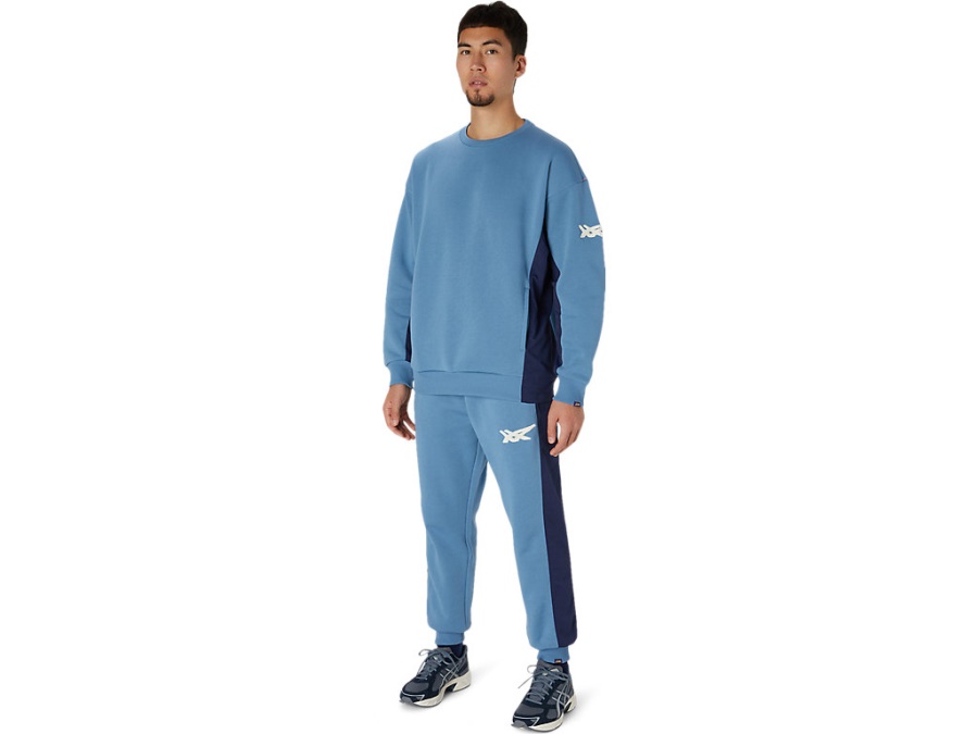 Asics BRUSHED FRENCH TERRY PANT Grey Floss