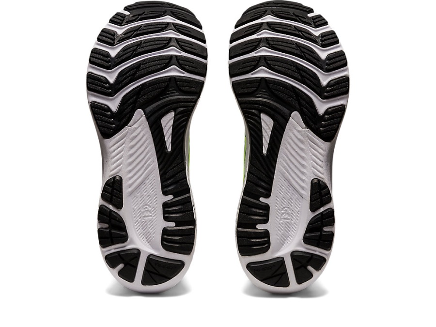 Asics White-Velvet Pine GEL-KAYANO 29