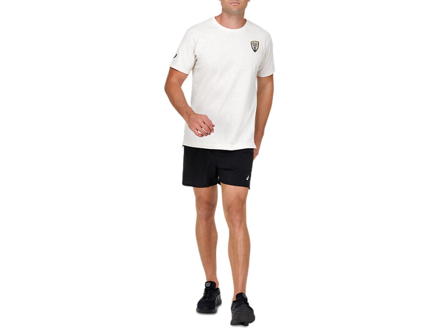 CRICKET AUSTRALIA ASHES TEE Cream Asics